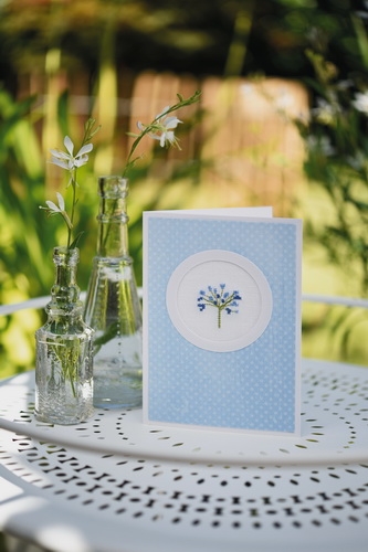 Passepartoutkarte -Agapanthus-