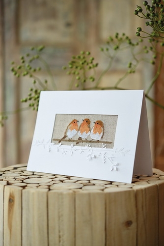 Passepartoutkarte -Rotkehlchen-