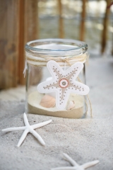 tag -sea star-