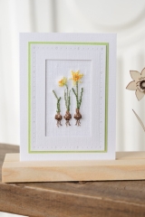 passepartoutcard -daffodils-